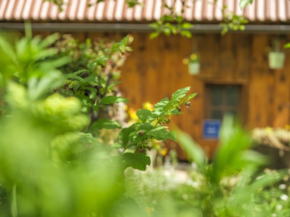 Apartment Yeti Plitvica selo
