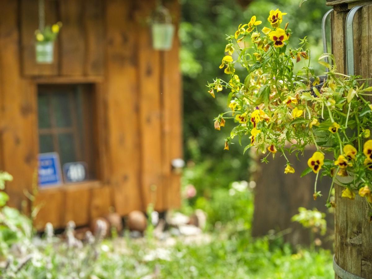 Apartment Yeti Plitvica selo